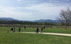 Yarra Valley Wine Tasting Tour - thumb 2