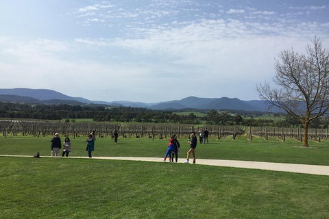 Yarra Valley Wine Tasting Tour - Foster Accommodation 2