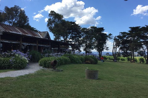 Yarra Valley Wine Tasting Tour - Foster Accommodation 3