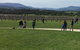Yarra Valley Wine Tasting Tour - thumb 0