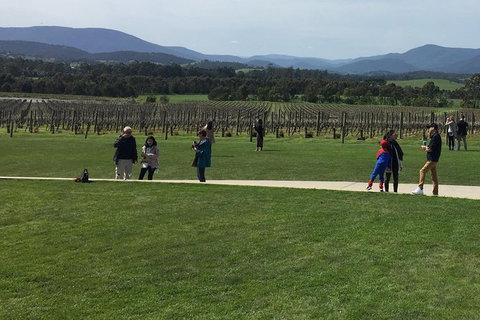 Yarra Valley Wine Tasting Tour - Foster Accommodation 0