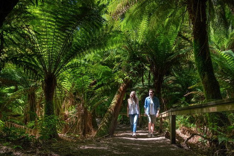 The Great Ocean Road 1 Day Private Sunset Tour - Foster Accommodation 1