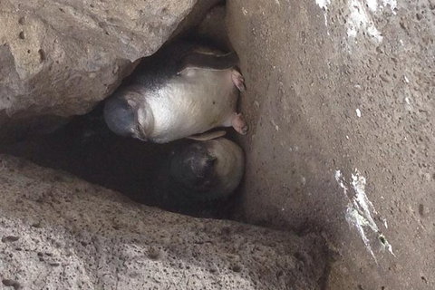 Food Tour Melbourne - St Kilda - Foster Accommodation 4