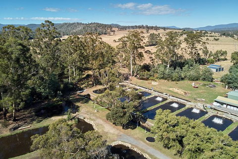 Skip The Line: Fishing Experience Ticket - Buxton Trout & Salmon - Foster Accommodation 0