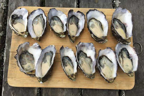 Skip The Line: Fishing Experience Ticket - Buxton Trout & Salmon - Foster Accommodation 2