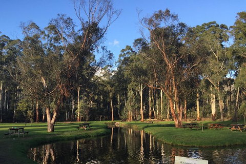 Skip The Line: Fishing Experience Ticket - Buxton Trout & Salmon - Foster Accommodation 17