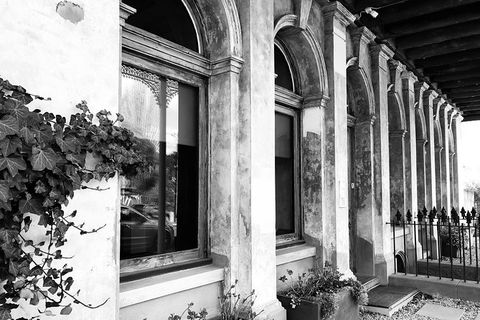 Alices Journeys Guided Walking Tours Of Daylesford - Foster Accommodation 6