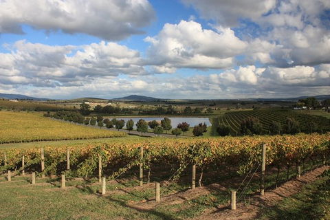 LGBT+ Friendly Full Day Yarra Valley & Dandenong Ranges Private Tour - Foster Accommodation 0