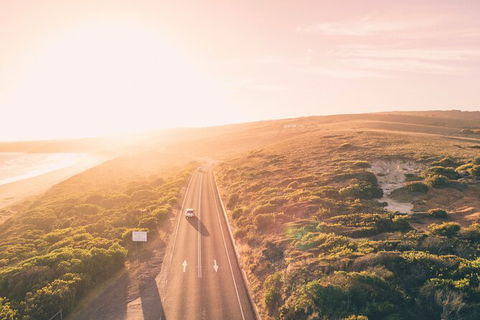 LGBT+ Friendly 2 Day Private Great Ocean Road Tour - Foster Accommodation 1