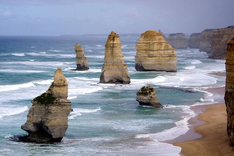 LGBT+ Friendly 2 Day Private Great Ocean Road Tour - Foster Accommodation 0