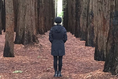 Half-Day Biking Activity From Aqueduct To California Redwoods - Foster Accommodation 0