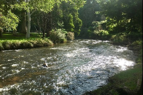 Watertube Experience In Yarra River - Foster Accommodation 3