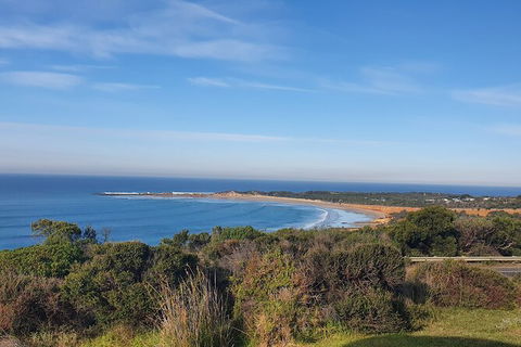 Private Great Ocean Road And Chocolaterie Tour With Tasting - Foster Accommodation 5