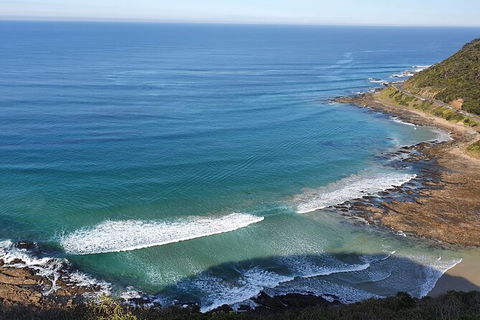 Private Great Ocean Road And Chocolaterie Tour With Tasting - Foster Accommodation 7