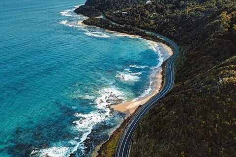 Private Great Ocean Road And Chocolaterie Tour With Tasting - Foster Accommodation 6