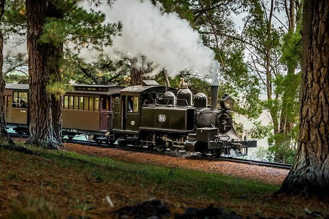 Small Group - Dandenong Ranges, Puffing Billy & Healesville Sanctuary Day Tour - Foster Accommodation 2
