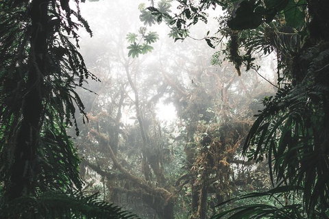 Small Group - Dandenong Ranges, Puffing Billy & Healesville Sanctuary Day Tour - Foster Accommodation 3