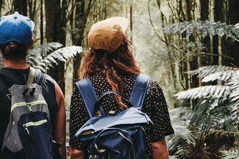 Small Group - Dandenong Ranges, Puffing Billy & Healesville Sanctuary Day Tour - Foster Accommodation 6