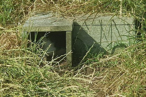 Phillip Island Penguin And Wildlife Tour - Foster Accommodation 11