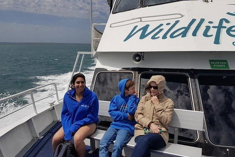 Phillip Island Penguin And Wildlife Tour - Foster Accommodation 15