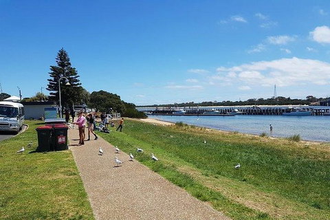 Phillip Island Penguin And Wildlife Tour - Foster Accommodation 25