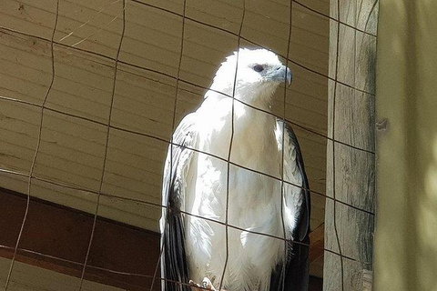 Phillip Island Penguin And Wildlife Tour - Foster Accommodation 21