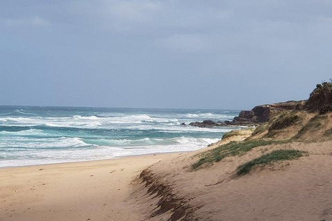 Phillip Island Penguin And Wildlife Tour - Foster Accommodation 10