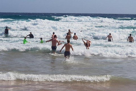 Phillip Island Penguin And Wildlife Tour - Foster Accommodation 18