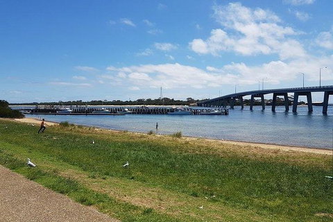 Phillip Island Penguin And Wildlife Tour - Foster Accommodation 24