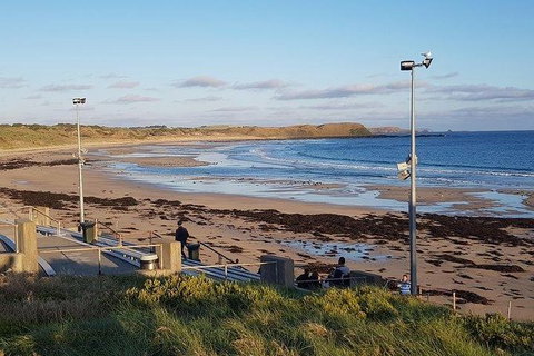 Phillip Island Penguin And Wildlife Tour - Foster Accommodation 8