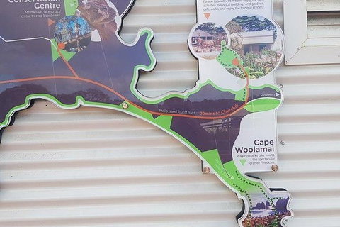 Phillip Island Penguin And Wildlife Tour - Foster Accommodation 29