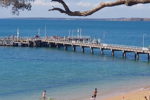 Phillip Island Penguin And Wildlife Tour - Foster Accommodation 2