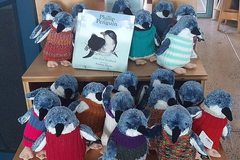 Phillip Island Penguin And Wildlife Tour - Foster Accommodation 27