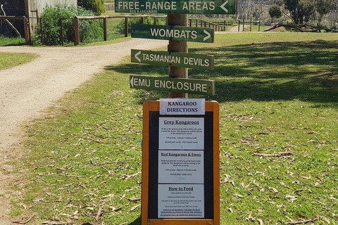 Phillip Island Penguin And Wildlife Tour - Foster Accommodation 4