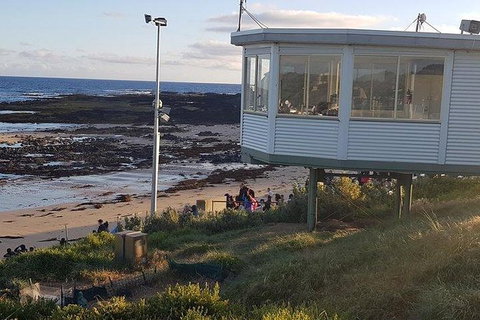 Phillip Island Penguin And Wildlife Tour - Foster Accommodation 33