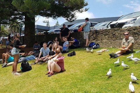 Phillip Island Penguin And Wildlife Tour - Foster Accommodation 22