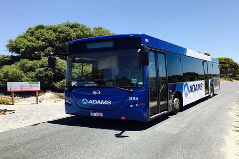 Rottnest Island Bayseeker Day Trip From Perth - Foster Accommodation 4