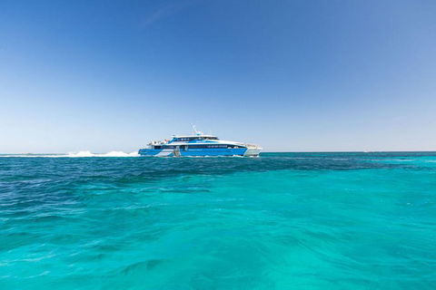 Rottnest Island Bayseeker Day Trip From Perth - Foster Accommodation 3