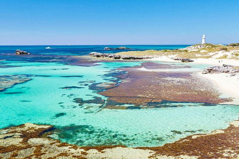 Rottnest Island Bayseeker Day Trip From Perth - Foster Accommodation 7
