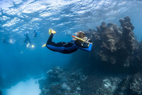 Ningaloo Adventure And Manta Ray Tour - Foster Accommodation 6