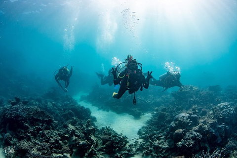 Ningaloo Adventure And Manta Ray Tour - Foster Accommodation 4