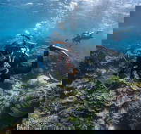 Ningaloo Adventure and Manta Ray Tour - Foster Accommodation