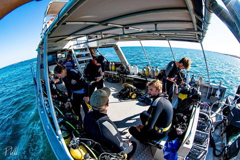 Ningaloo Adventure And Manta Ray Tour - Foster Accommodation 8