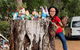 \'Oz Special\' Bunbury Geographe Forest, Wine And Brewery Tour - thumb 3