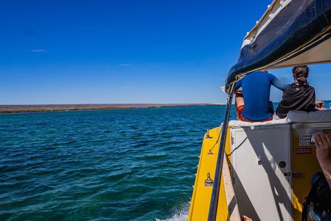 Ningaloo Immersion Private Charter - Foster Accommodation 0