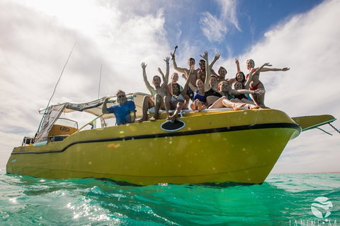 Ningaloo Immersion Private Charter - Foster Accommodation 9