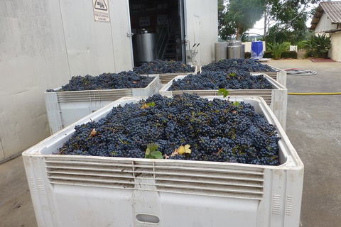 A Taste Of Margaret River Luxury Wine Tour - Foster Accommodation 3