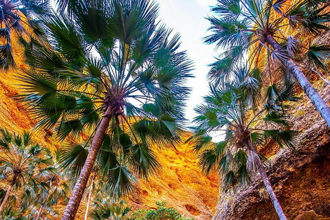 Bungles Day Trek Extended (with Echidna Chasm) - Foster Accommodation 1