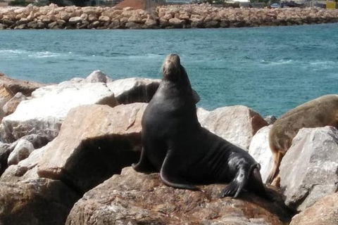 Lobster Fishing Tour At Geraldton - Foster Accommodation 3