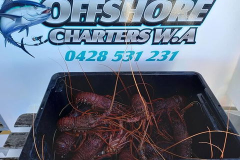 Lobster Fishing Tour At Geraldton - Foster Accommodation 0